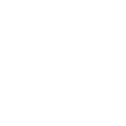 Leinster Women